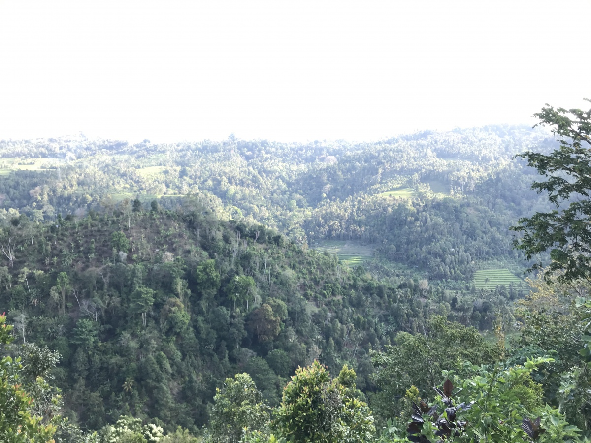 Click for full size image of Pura Batur Gangsian (PID:257922) Pura Batur Gangsian