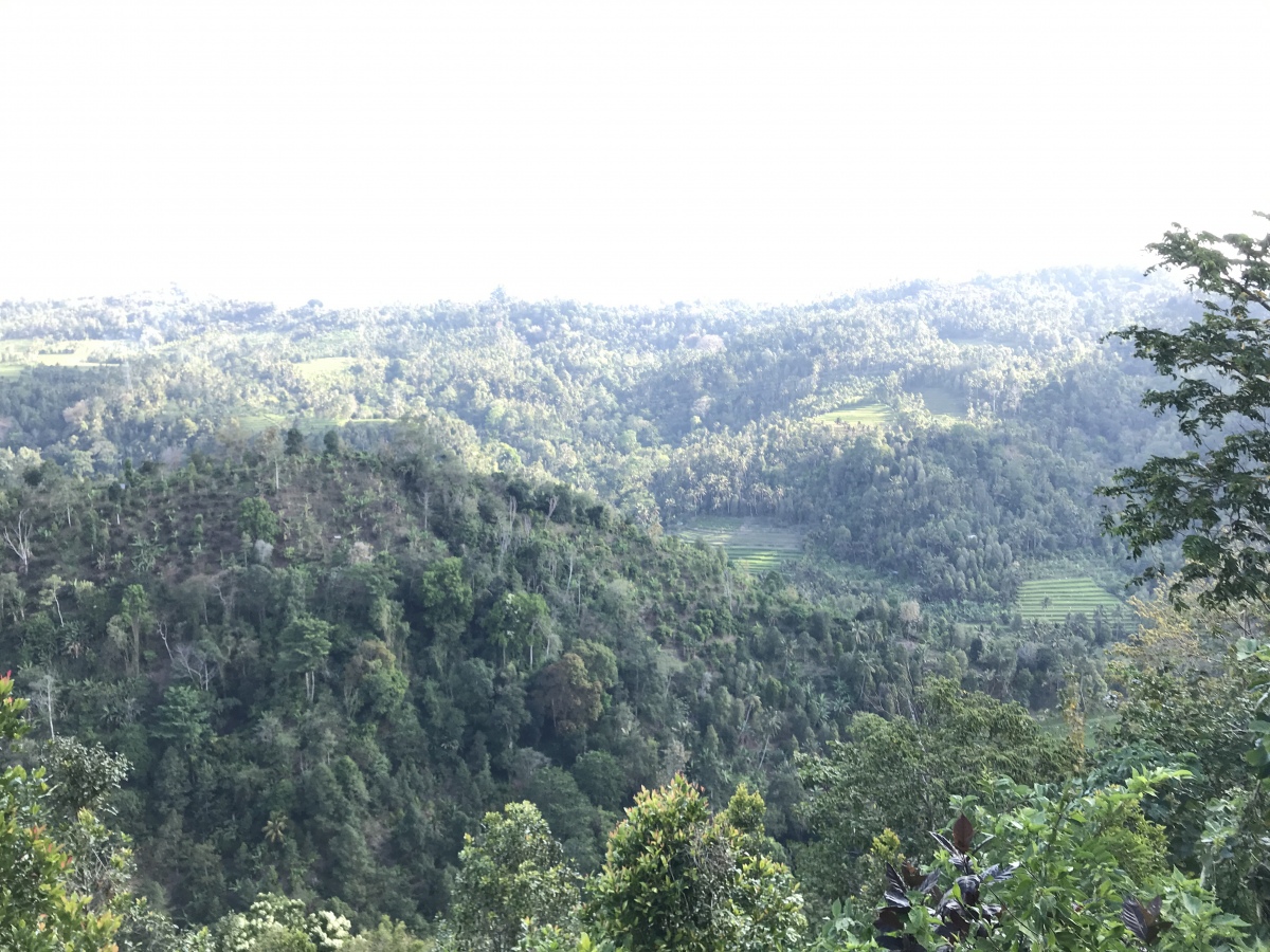 The landscape around Pura Batur Gangsian