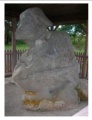 Tinggihari Complex - PID:294617