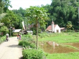 Bori Kalimbuang - PID:216893