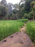 Situs Tugu Cengku