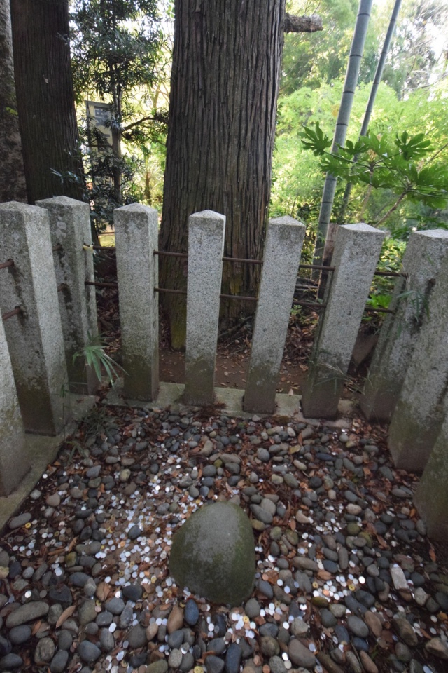 Site in  Japan
The one in “Kashima Shrine”