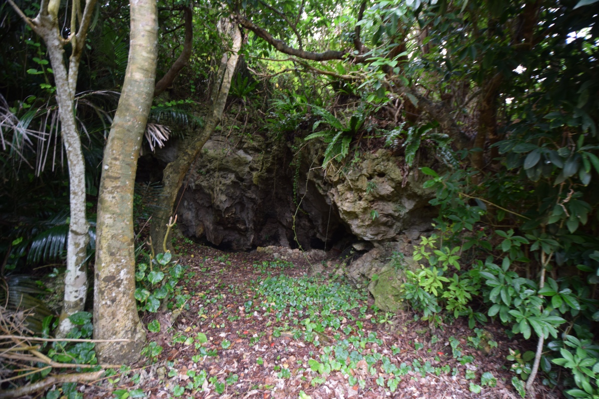 Shimojibaru cave