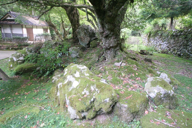 Gakuen-ji temples complex