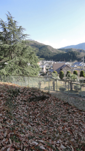 Click for full size image of Ossaka Kofungun (PID:101849) Ossaka Kofungun