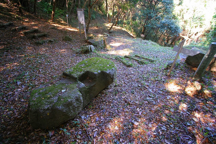 Click for full size image of Iwakiyama (PID:51356) Iwakiyama