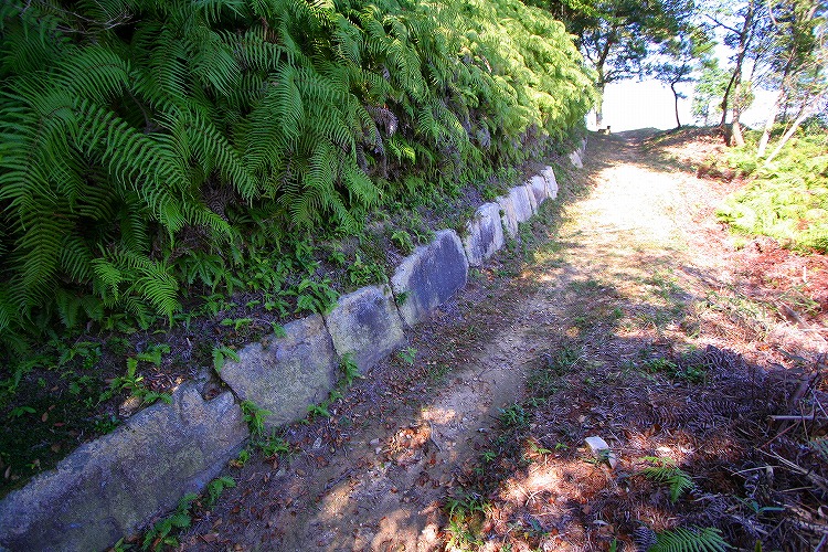 Click for full size image of Iwakiyama (PID:51357) Iwakiyama
