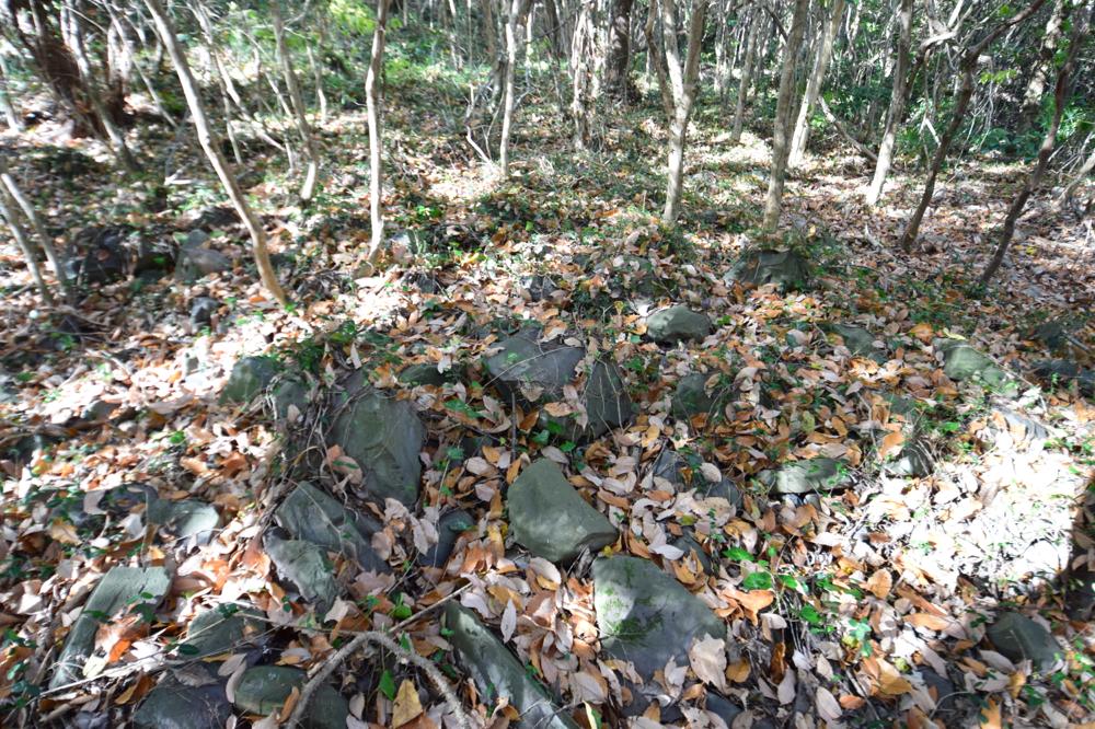 Click for full size image of Iwaseoyama Kofungun (PID:175306) Iwaseoyama Kofungun