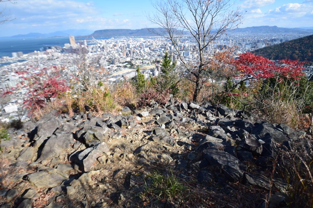 Click for full size image of Iwaseoyama Kofungun (PID:175305) Iwaseoyama Kofungun