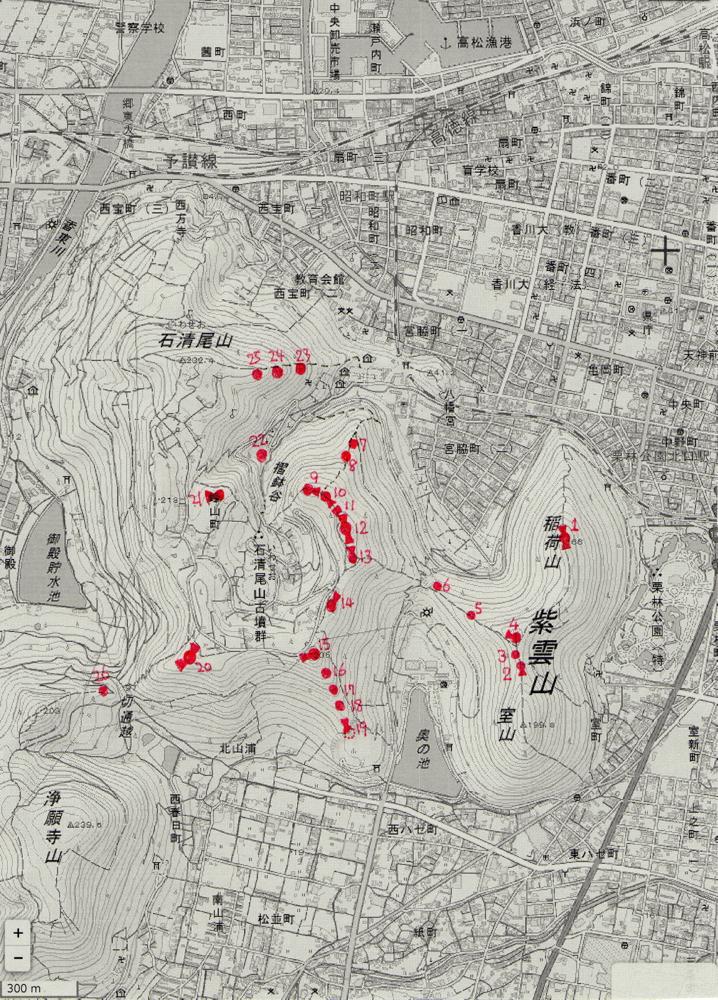 Click for full size image of Iwaseoyama Kofungun (PID:175309) Iwaseoyama Kofungun
