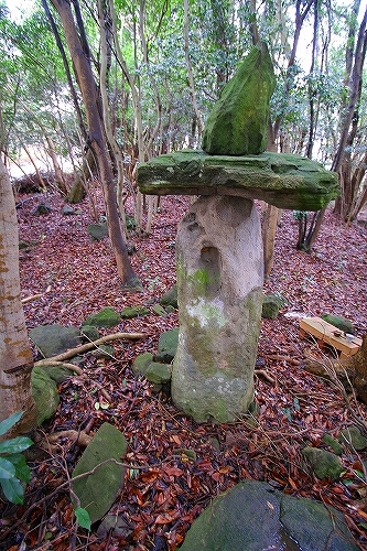 Kisaki-no-Yamanokami (PID:55062) Kisaki-no-Yamanokami
