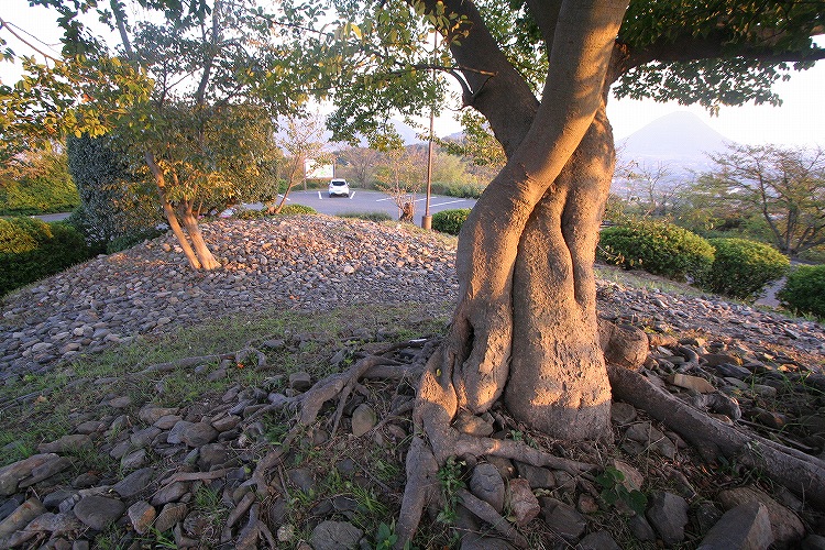 Shotsuji-yama Kofun (PID:69991) Shotsuji-yama Kofun