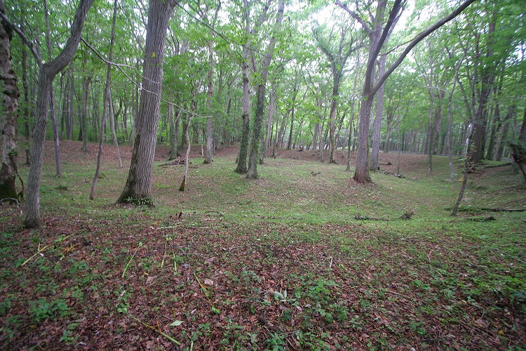 Kiusu (PID:66875) Kiusu