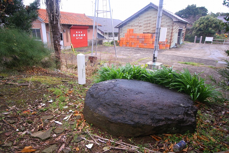 Amakubo (PID:44685) Amakubo