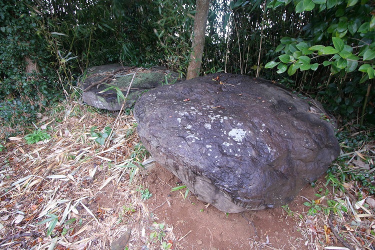 Click for full size image of Amakubo (PID:44684) Amakubo