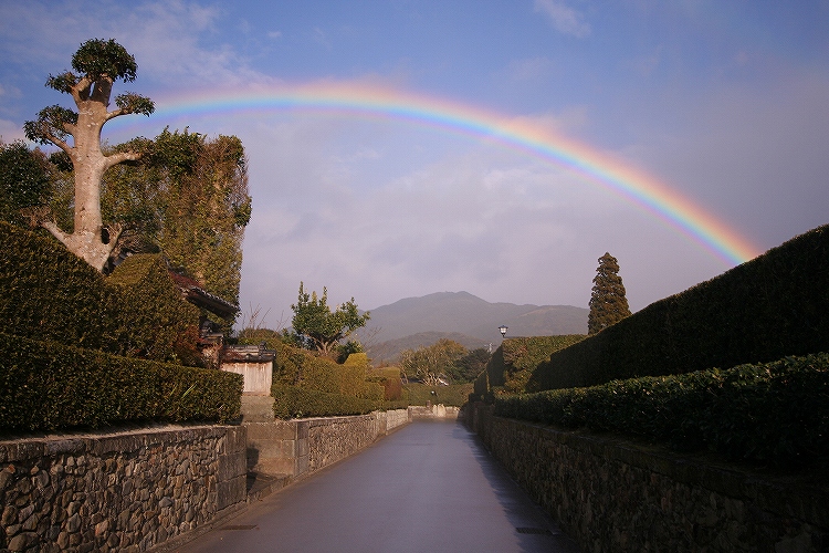 Chiran Buke Yashiki gardens
