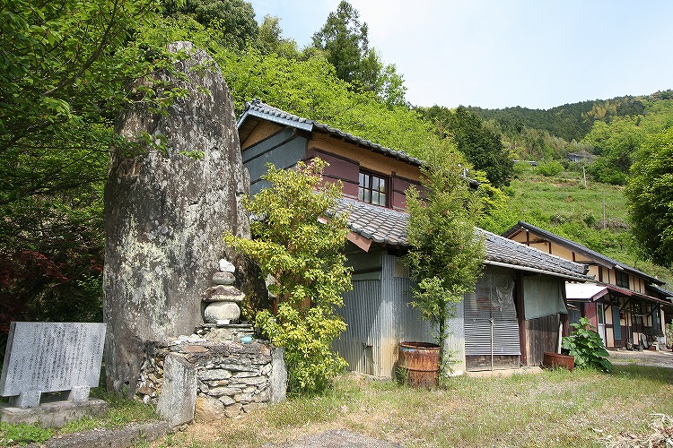 Click for the gallery page to add comments and vote (PID:47211) Takayama-Nishinomiya