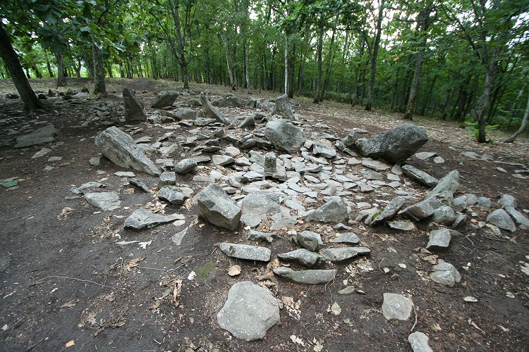 Otoe (PID:36591) Otoe