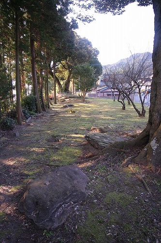 Tanukiyama (PID:44667) Tanukiyama