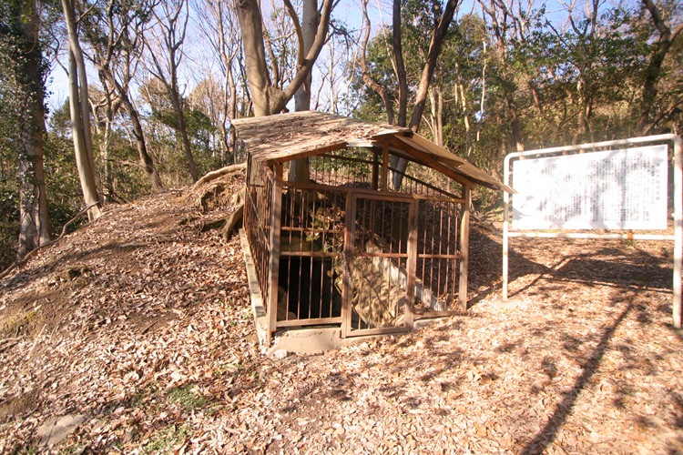 Sagi-no-kuchi Kofun
