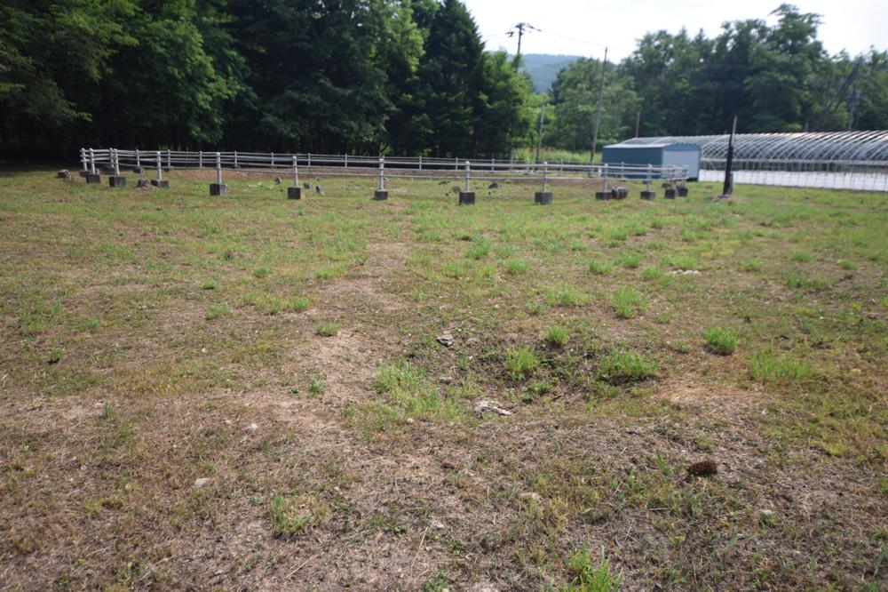 Click for full size image of Nokanan henge (PID:236130) Nokanan henge