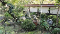 Chōkoku-ji temple