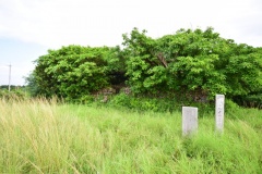 Isanchā