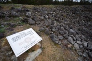 Click for full size image of Iwaseoyama Kofungun (PID:166655) Iwaseoyama Kofungun