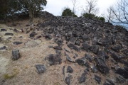 Click for full size image of Iwaseoyama Kofungun (PID:166636) Iwaseoyama Kofungun