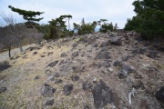 Click for full size image of Iwaseoyama Kofungun (PID:166637) Iwaseoyama Kofungun