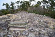 Click for full size image of Iwaseoyama Kofungun (PID:166638) Iwaseoyama Kofungun