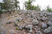Click for full size image of Iwaseoyama Kofungun (PID:166639) Iwaseoyama Kofungun