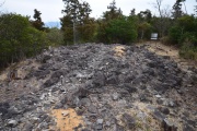Click for full size image of Iwaseoyama Kofungun (PID:166640) Iwaseoyama Kofungun