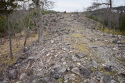 Click for full size image of Iwaseoyama Kofungun (PID:166641) Iwaseoyama Kofungun