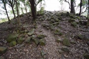 Click for full size image of Iwaseoyama Kofungun (PID:166643) Iwaseoyama Kofungun