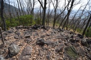 Click for full size image of Iwaseoyama Kofungun (PID:166644) Iwaseoyama Kofungun