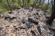 Click for full size image of Iwaseoyama Kofungun (PID:166646) Iwaseoyama Kofungun