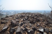 Click for full size image of Iwaseoyama Kofungun (PID:166647) Iwaseoyama Kofungun