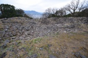 Click for full size image of Iwaseoyama Kofungun (PID:166663) Iwaseoyama Kofungun