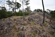 Click for full size image of Iwaseoyama Kofungun (PID:166664) Iwaseoyama Kofungun
