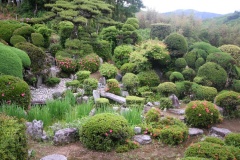 JūzenRitsu-in temple