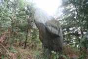 Oka-no-Tateishi submitted by Aska