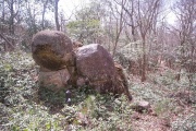 Kinoyama submitted by Aska