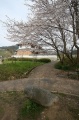 Maraishi submitted by Aska