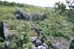 Susabi Myāka