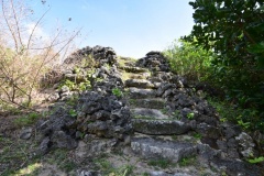 Takaniku