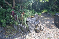 Akaogi