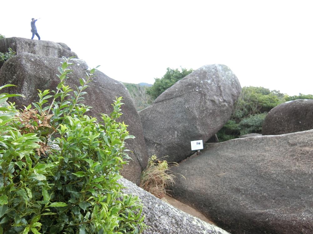 TōjinDaba (PID:213440) TōjinDaba
