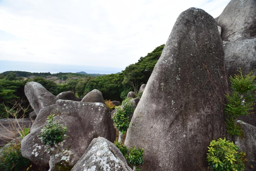 TōjinDaba