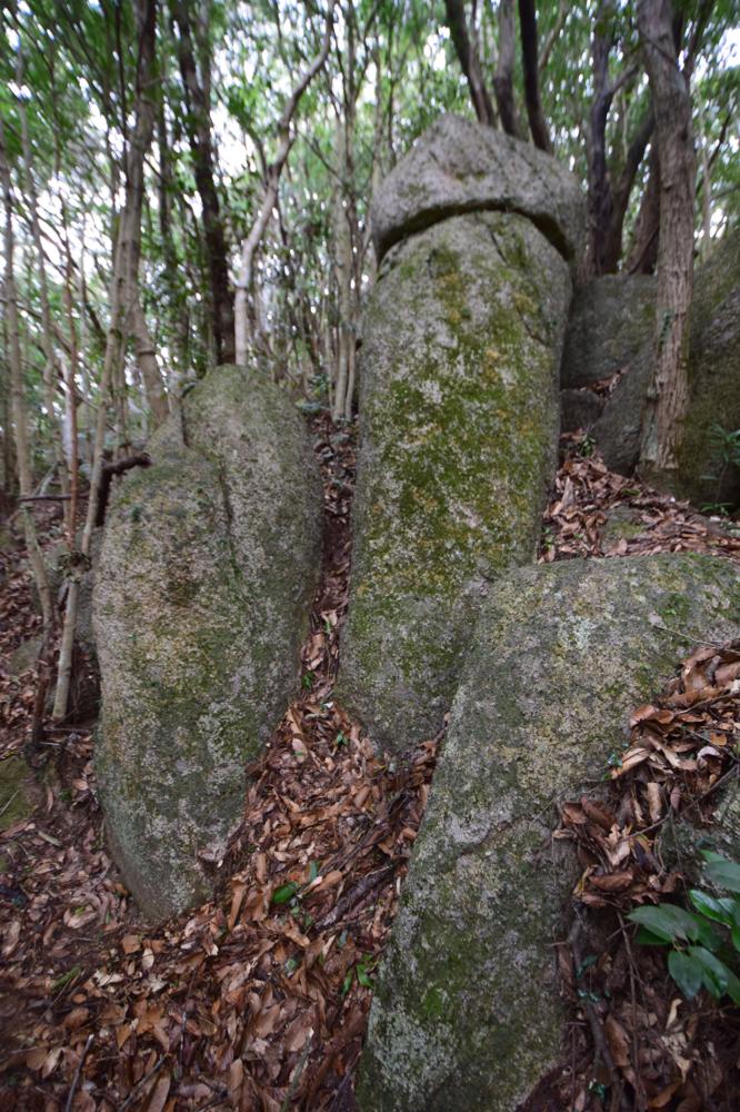 Click for full size image of TōjinDaba (PID:213442) TōjinDaba